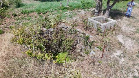 Terreno Rústico  Venda em Escalos de Cima e Lousa,Castelo Branco
