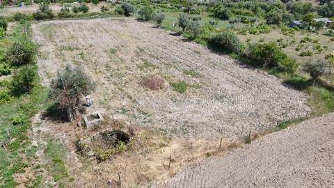 Terreno Rústico  Venda em Escalos de Cima e Lousa,Castelo Branco