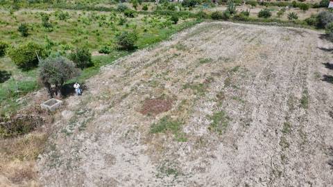 Terreno Rústico  Venda em Escalos de Cima e Lousa,Castelo Branco
