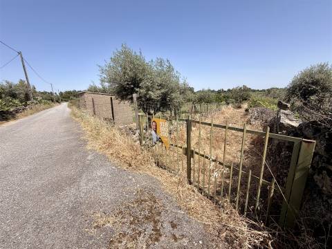 Terreno Rústico  Venda em Escalos de Cima e Lousa,Castelo Branco
