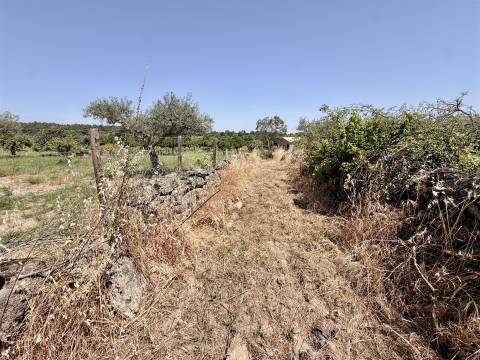 Terreno Rústico  Venda em Escalos de Cima e Lousa,Castelo Branco