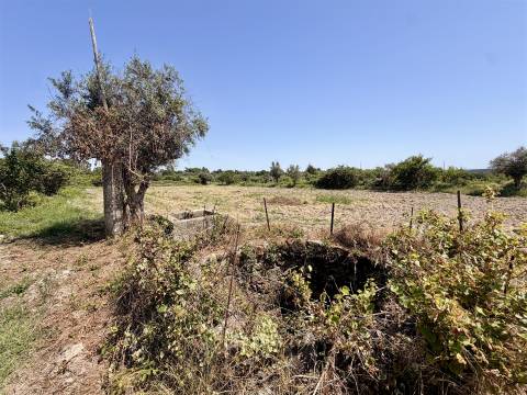 Terreno Rústico  Venda em Escalos de Cima e Lousa,Castelo Branco