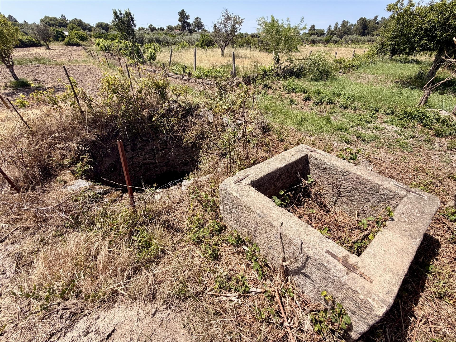 Terreno Rústico  Venda em Escalos de Cima e Lousa,Castelo Branco