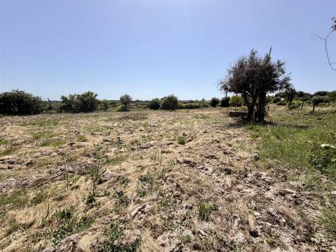 Terreno Rústico  Venda em Escalos de Cima e Lousa,Castelo Branco