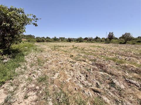 Terreno Rústico  Venda em Escalos de Cima e Lousa,Castelo Branco