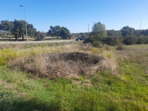 Lote de Terreno  Venda em Escalos de Cima e Lousa,Castelo Branco