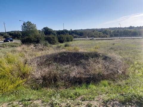 Lote de Terreno  Venda em Escalos de Cima e Lousa,Castelo Branco