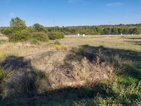 Lote de Terreno  Venda em Escalos de Cima e Lousa,Castelo Branco