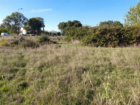 Lote de Terreno  Venda em Escalos de Cima e Lousa,Castelo Branco