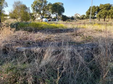 Lote de Terreno  Venda em Escalos de Cima e Lousa,Castelo Branco