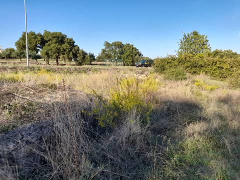 Lote de Terreno  Venda em Escalos de Cima e Lousa,Castelo Branco