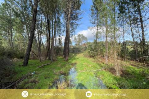 Terreno Rústico  Venda em Sarzedas,Castelo Branco