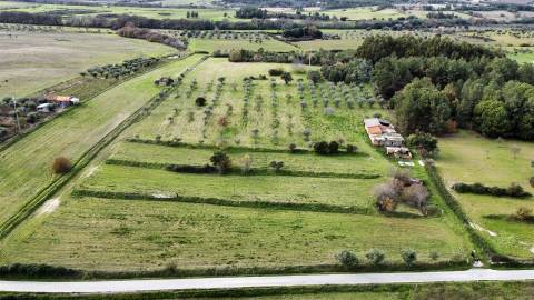 Quinta com 23 hectares junto a serra da gardunha, Soalheira Fundão