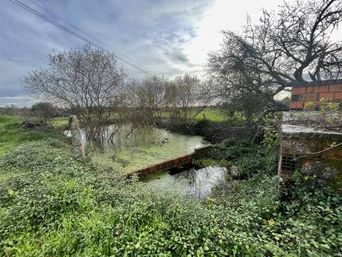 Quinta com 23 hectares junto a serra da gardunha, Soalheira Fundão