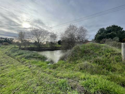 Quinta com 23 hectares junto a serra da gardunha, Soalheira Fundão