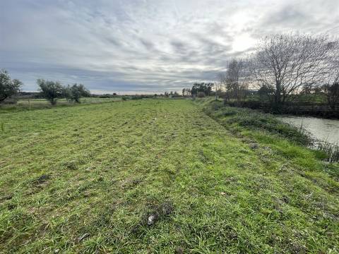 Quinta com 23 hectares junto a serra da gardunha, Soalheira Fundão