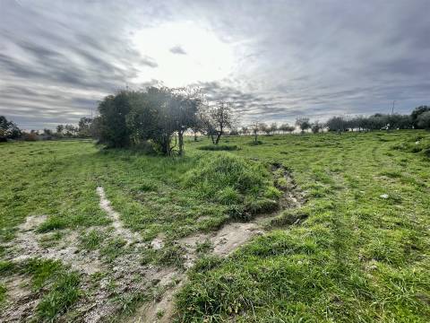Quinta com 23 hectares junto a serra da gardunha, Soalheira Fundão