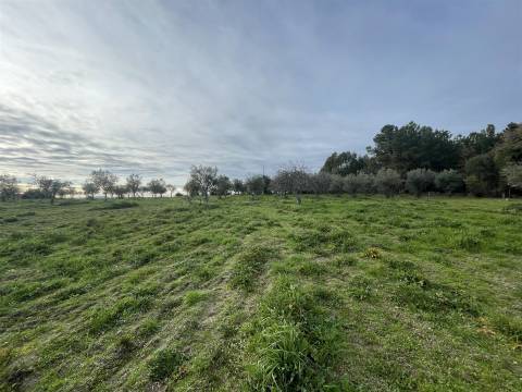 Quinta com 23 hectares junto a serra da gardunha, Soalheira Fundão