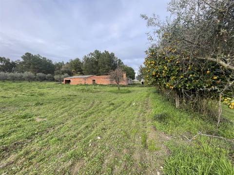 Quinta com 23 hectares junto a serra da gardunha, Soalheira Fundão