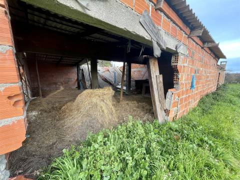 Quinta com 23 hectares junto a serra da gardunha, Soalheira Fundão