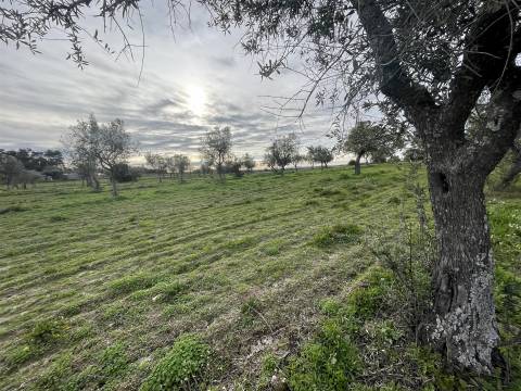 Quinta com 23 hectares junto a serra da gardunha, Soalheira Fundão