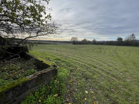 Quinta com 23 hectares junto a serra da gardunha, Soalheira Fundão