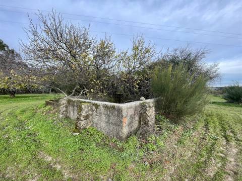 Quinta com 23 hectares junto a serra da gardunha, Soalheira Fundão