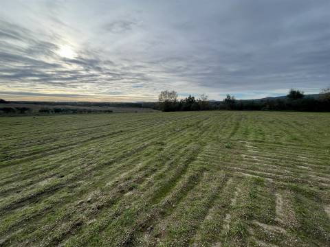Quinta com 23 hectares junto a serra da gardunha, Soalheira Fundão