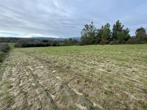Quinta com 23 hectares junto a serra da gardunha, Soalheira Fundão