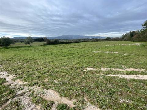 Quinta com 23 hectares junto a serra da gardunha, Soalheira Fundão