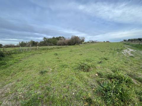 Quinta com 23 hectares junto a serra da gardunha, Soalheira Fundão