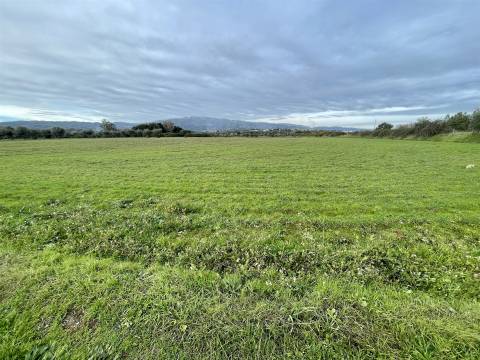 Quinta com 23 hectares junto a serra da gardunha, Soalheira Fundão