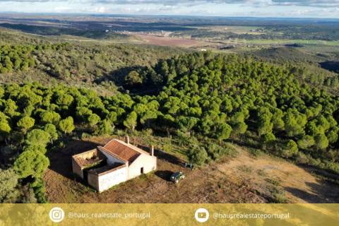 Herdade T5 Venda em Escalos de Baixo e Mata,Castelo Branco