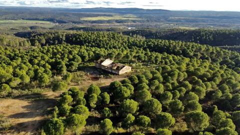 Herdade T5 Venda em Escalos de Baixo e Mata,Castelo Branco