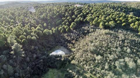Herdade T5 Venda em Escalos de Baixo e Mata,Castelo Branco