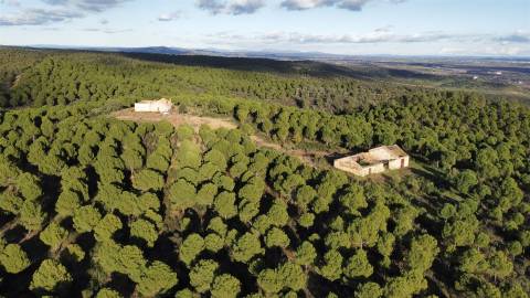 Herdade T5 Venda em Escalos de Baixo e Mata,Castelo Branco