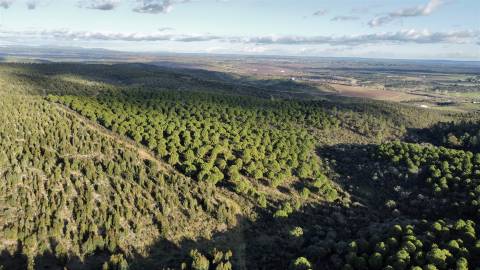 Herdade T5 Venda em Escalos de Baixo e Mata,Castelo Branco