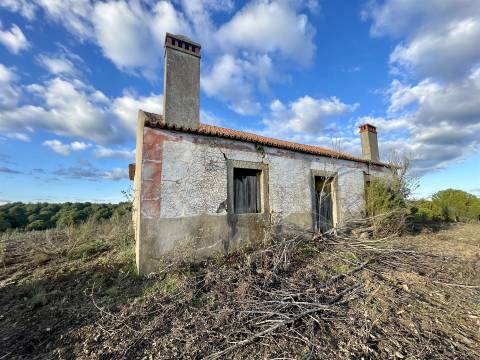 Herdade T5 Venda em Escalos de Baixo e Mata,Castelo Branco