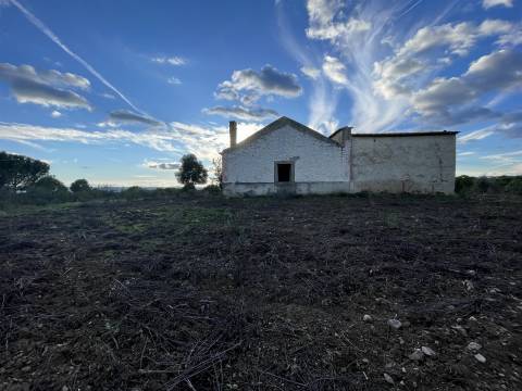 Herdade T5 Venda em Escalos de Baixo e Mata,Castelo Branco