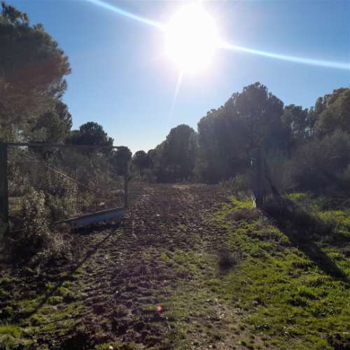 Herdade T5 Venda em Escalos de Baixo e Mata,Castelo Branco