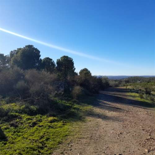 Herdade T5 Venda em Escalos de Baixo e Mata,Castelo Branco