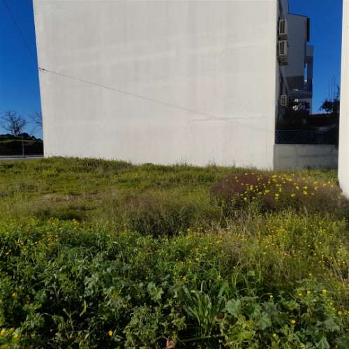 Lote de Terreno  Venda em Castelo Branco,Castelo Branco
