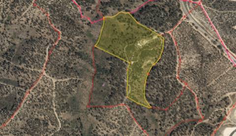 Quinta T0 Venda em Castelo Branco,Castelo Branco