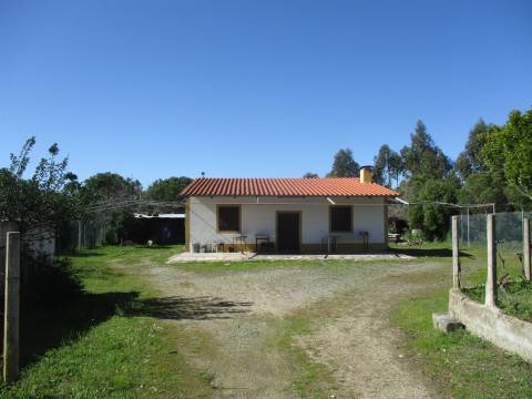 Quinta T0 Venda em Castelo Branco,Castelo Branco