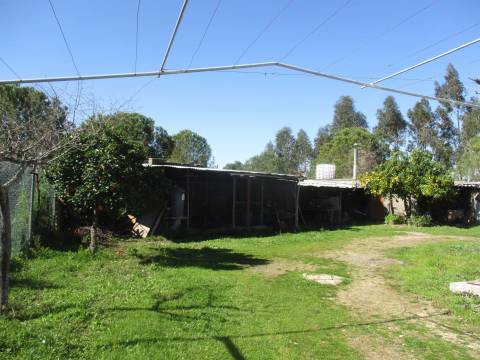 Quinta T0 Venda em Castelo Branco,Castelo Branco
