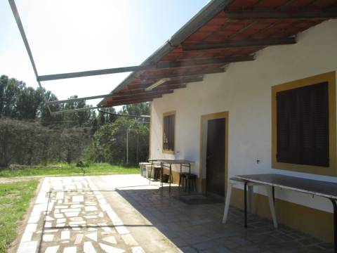 Quinta T0 Venda em Castelo Branco,Castelo Branco