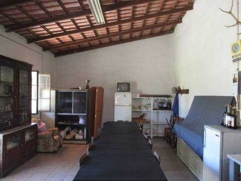 Quinta T0 Venda em Castelo Branco,Castelo Branco