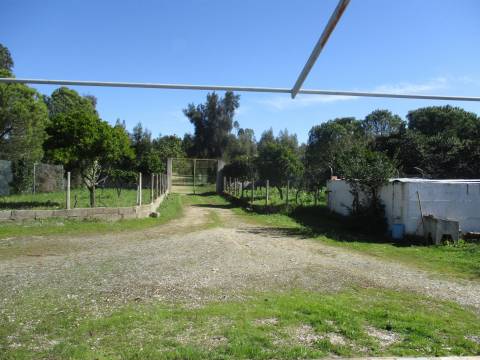 Quinta T0 Venda em Castelo Branco,Castelo Branco