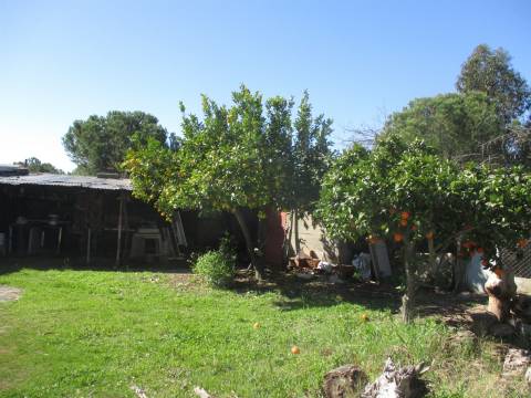 Quinta T0 Venda em Castelo Branco,Castelo Branco