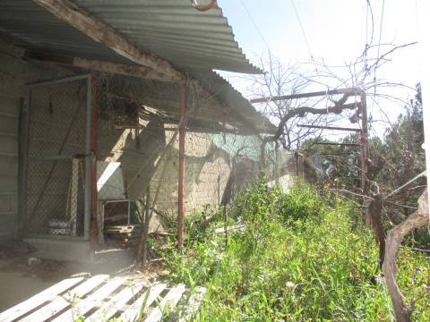 Quinta T0 Venda em Castelo Branco,Castelo Branco